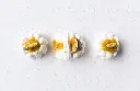 Pavlova exo 2.webp