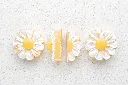 citron meu 2 (1).webp