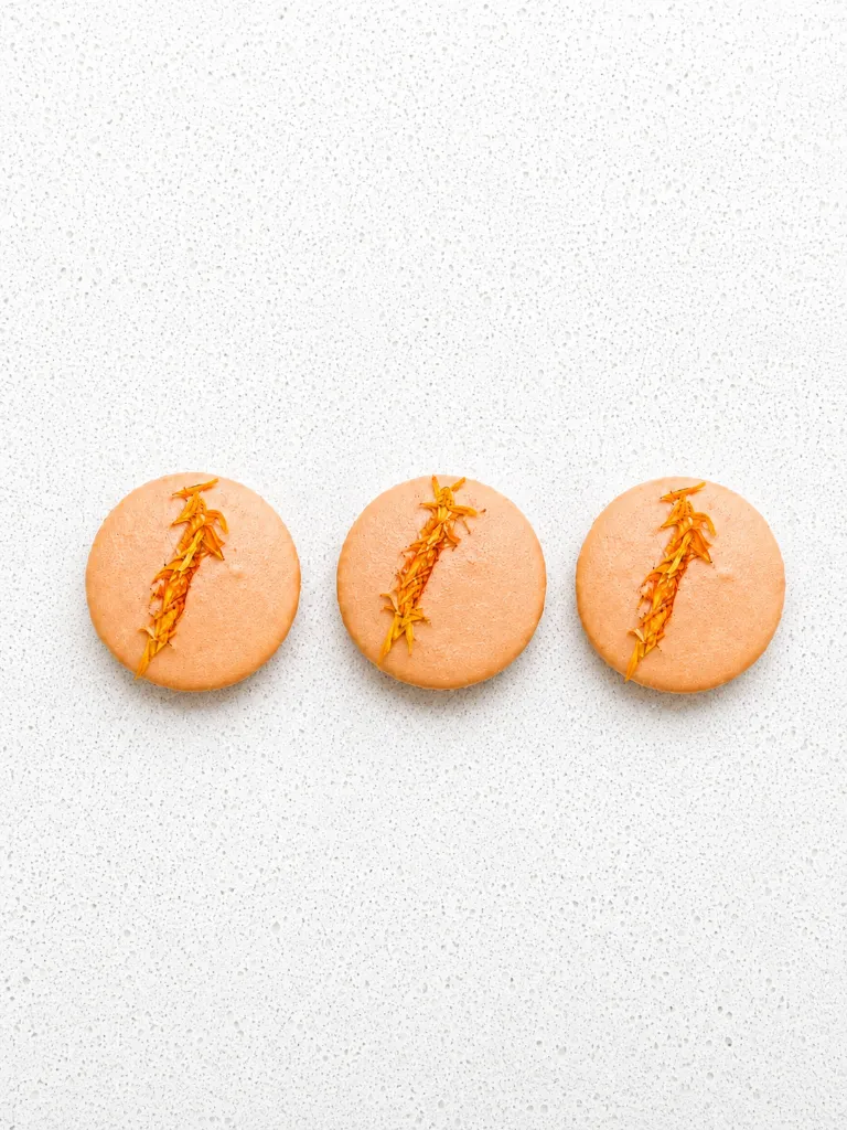 Macaron Agrumes (resize).webp