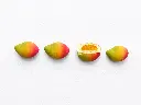 Trompe l'œil Mangue