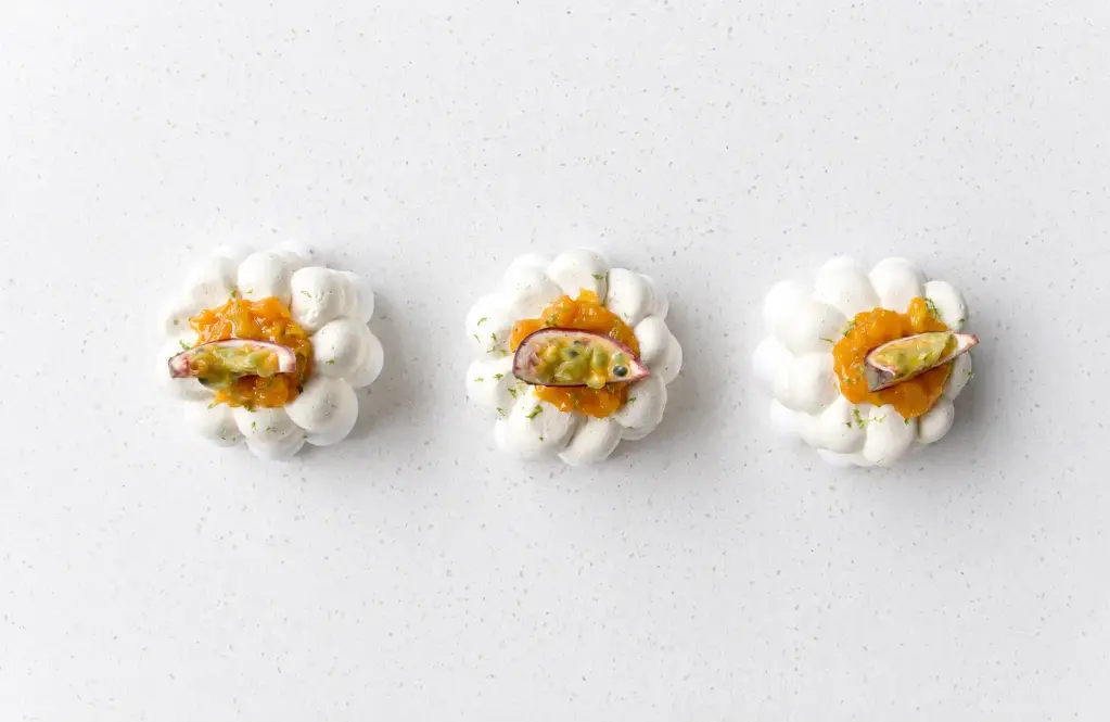 [P-100] Pavlova Exotique