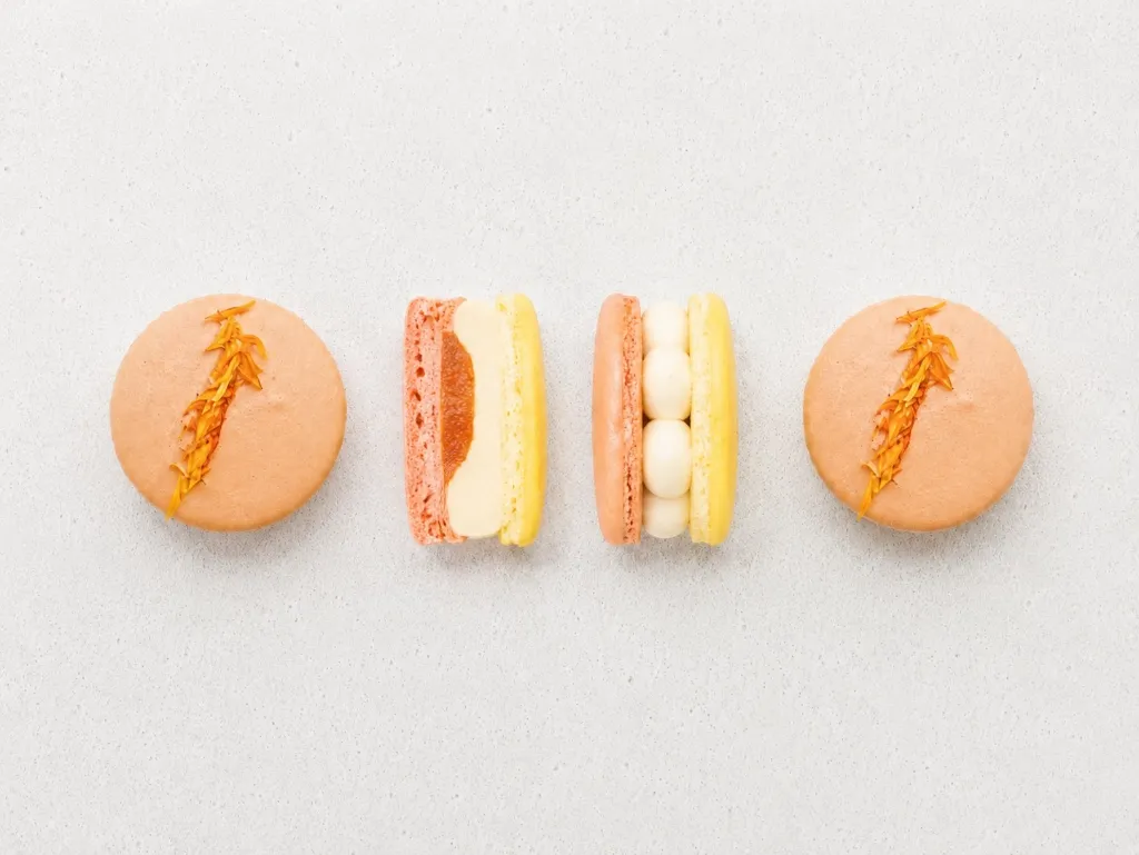 [MA02] Macaron Agrume 