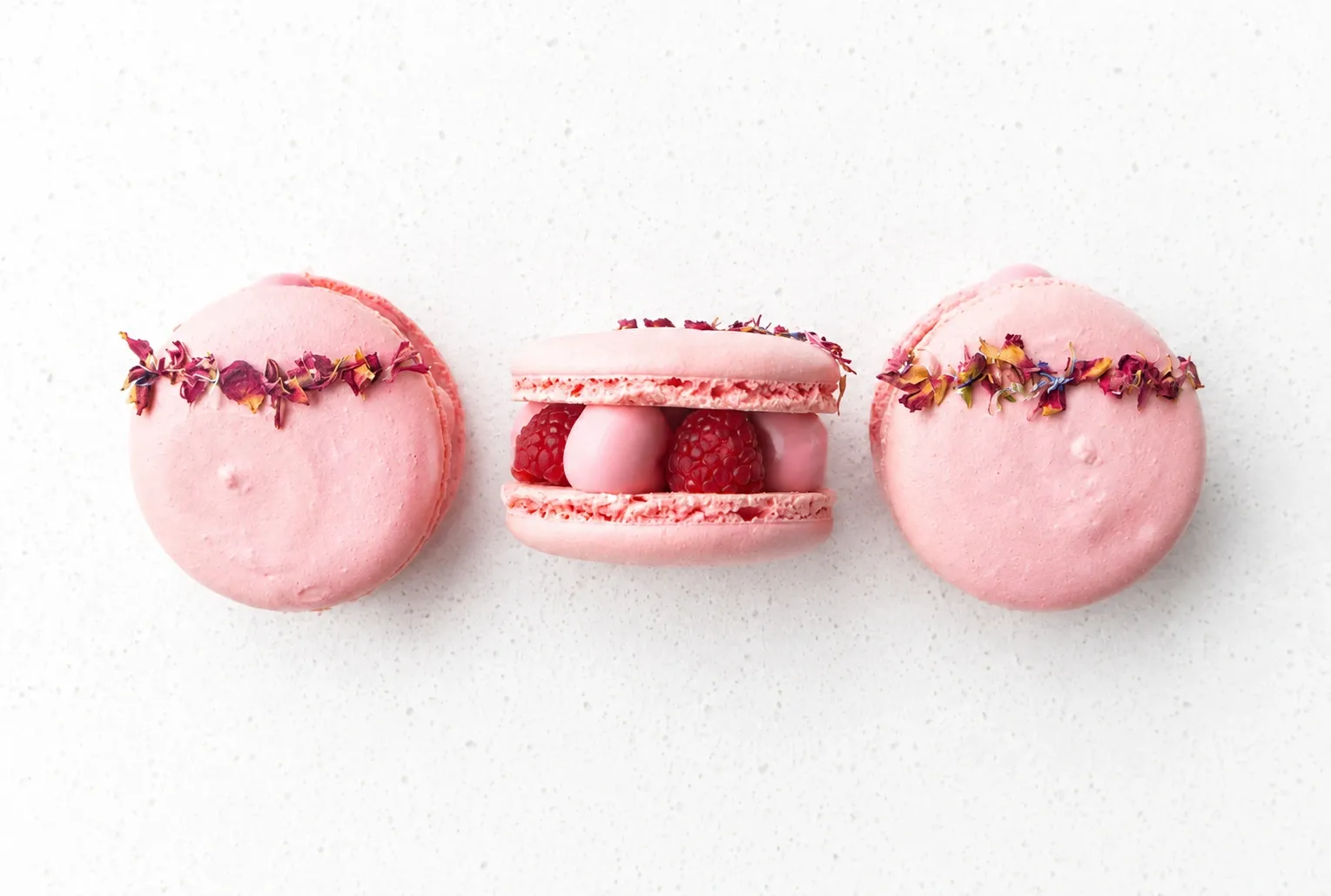 Macaron Rose 